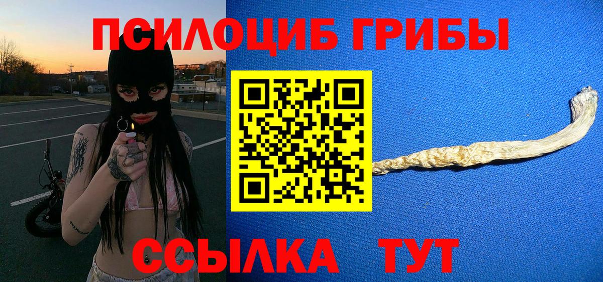 Великий Новгород  Псилоцибиновые грибы Magic Shrooms  Вход с VPN  Псилоцибиновые грибы мицелий 