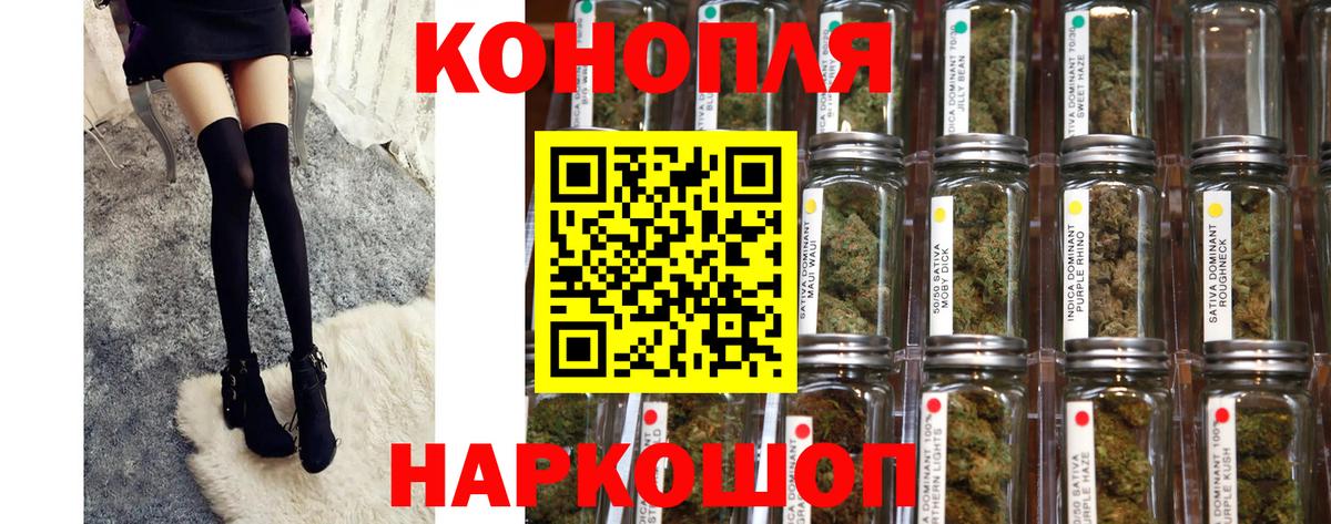 Бошки Шишки тримм  Каннабис индика  Великий Новгород  Вход с VPN  Канабис White Widow 